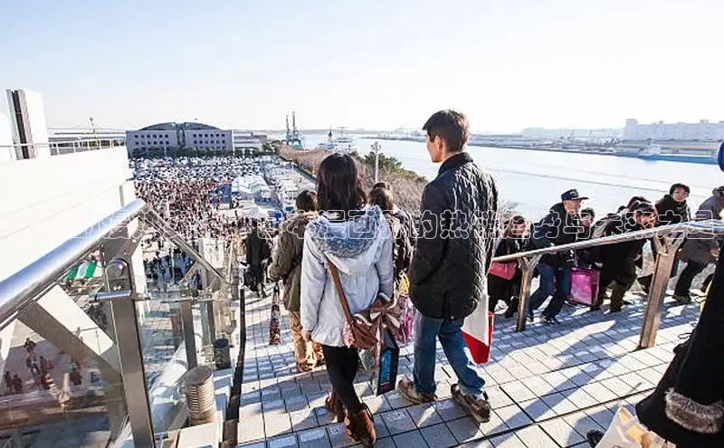 樱花漫画下拉式观看网站